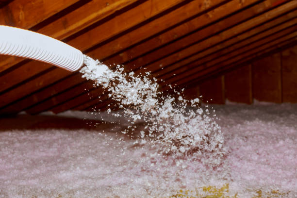 Best Cellulose Insulation in Chester Gap, VA