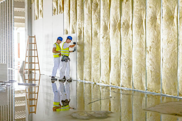 Types of Insulation We Offer in Chester Gap, VA